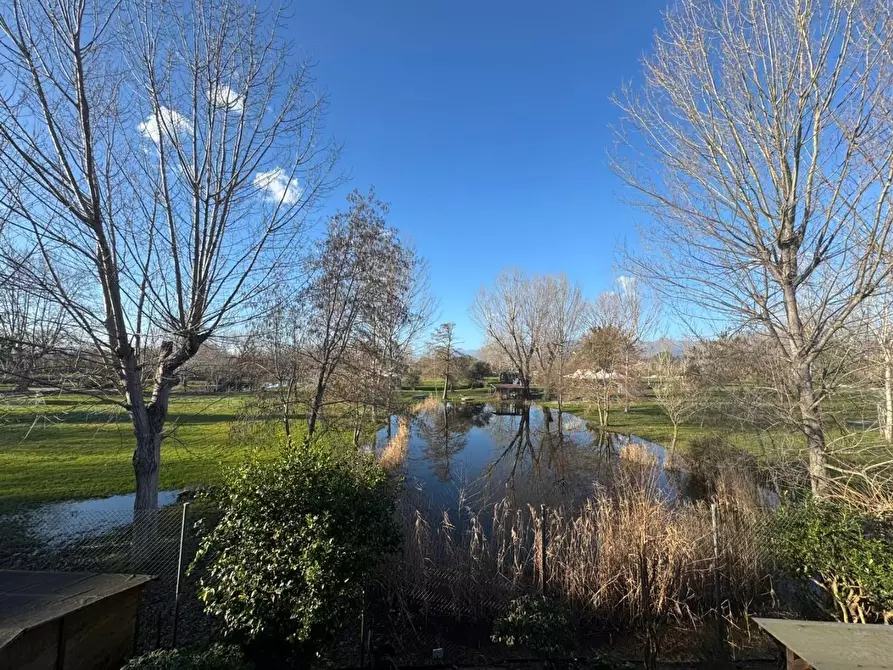 Immagine 1 di Appartamento in vendita  a Viareggio