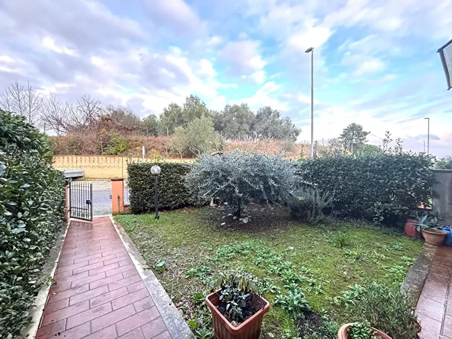 Immagine 12 di Appartamento in vendita  a Peccioli