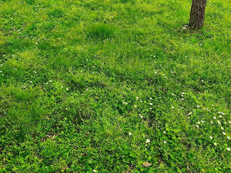 Immagine 36 di Casa semindipendente in vendita  a Castelnuovo Magra