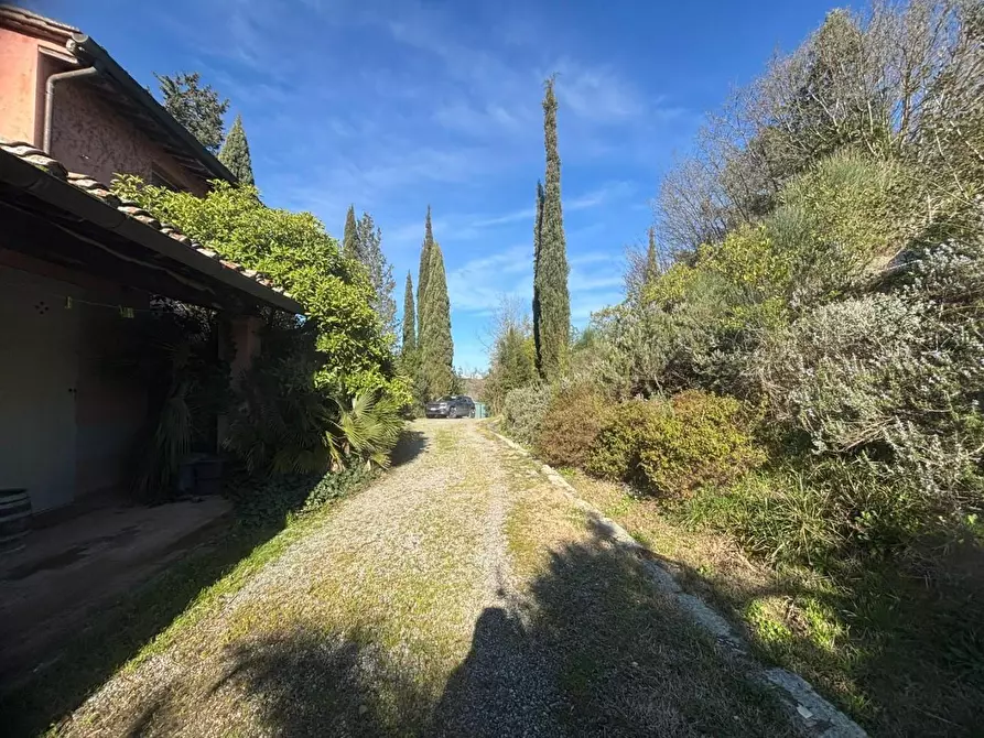 Immagine 16 di Villa in vendita  a San Miniato
