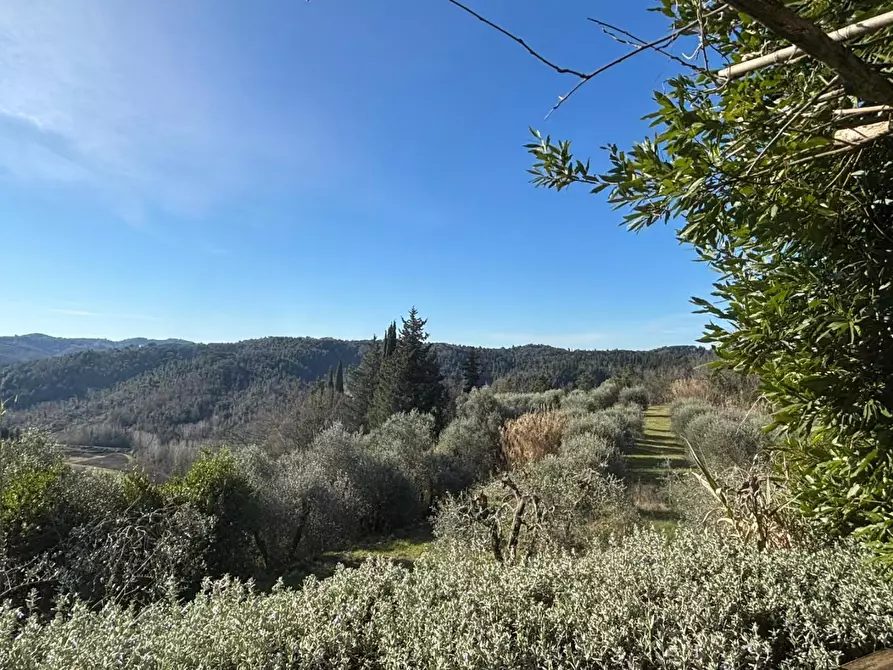 Immagine 12 di Villa in vendita  a San Miniato