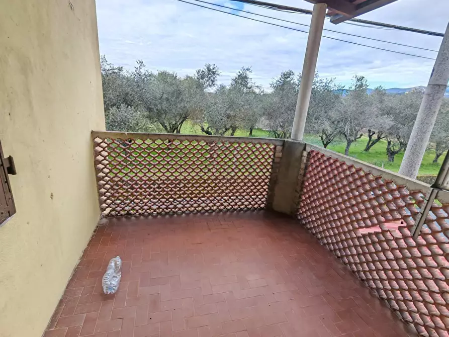 Immagine 8 di Terratetto in vendita  a Carrara