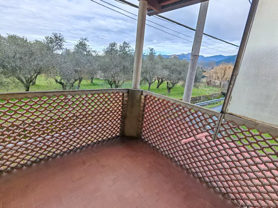 Immagine 6 di Terratetto in vendita  a Carrara