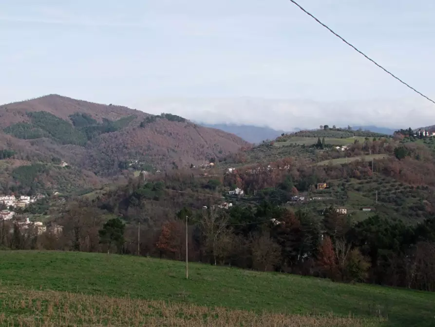 Immagine 25 di Casa colonica in vendita  a Dicomano