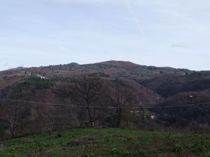 Immagine 24 di Casa colonica in vendita  a Dicomano