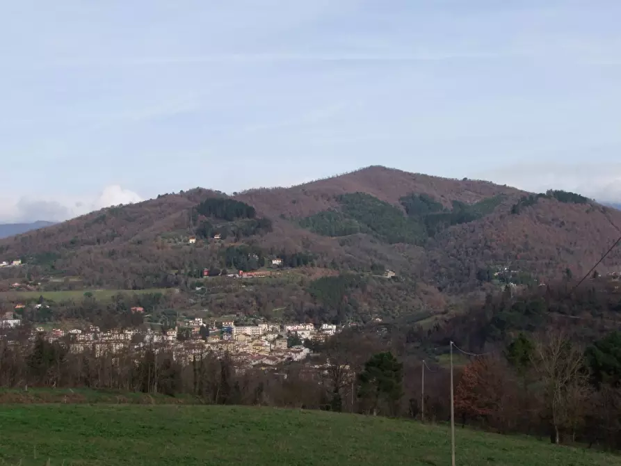 Immagine 26 di Casa colonica in vendita  a Dicomano
