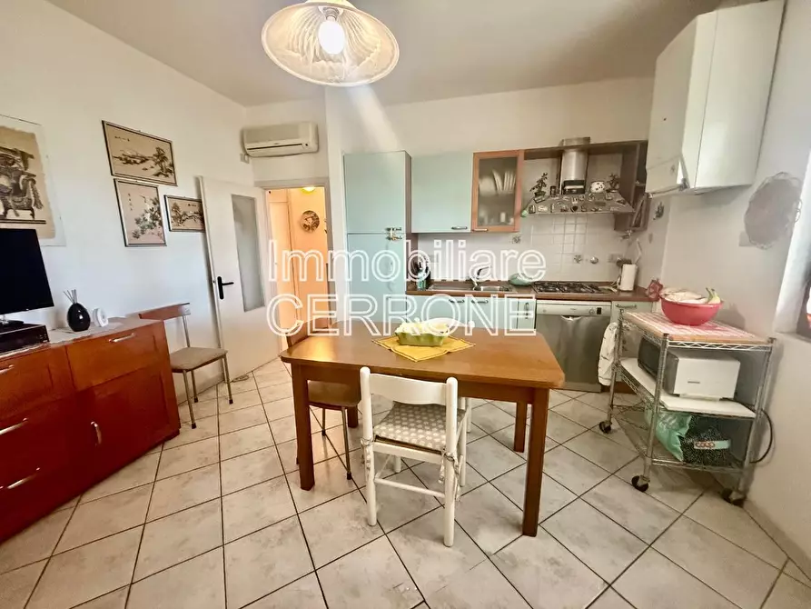 Immagine 4 di Appartamento in vendita  a Cecina