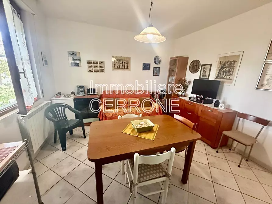 Immagine 3 di Appartamento in vendita  a Cecina