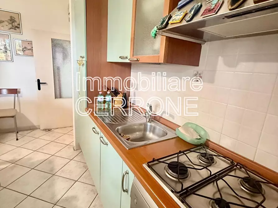 Immagine 9 di Appartamento in vendita  a Cecina