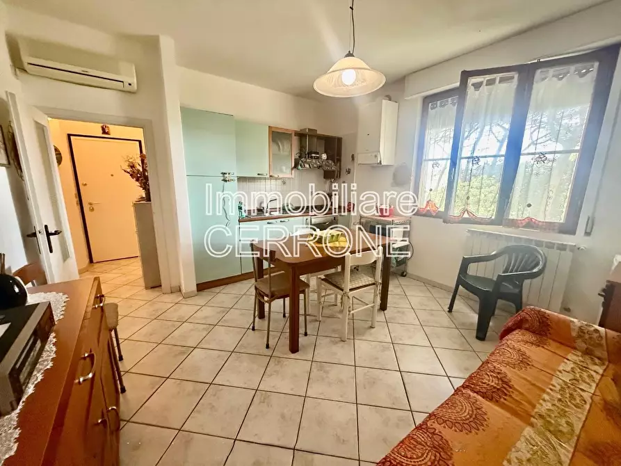 Immagine 8 di Appartamento in vendita  a Cecina