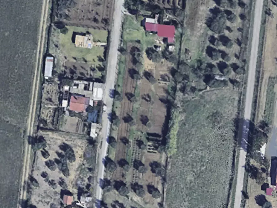Immagine 1 di Terreno agricolo in vendita  a Grosseto