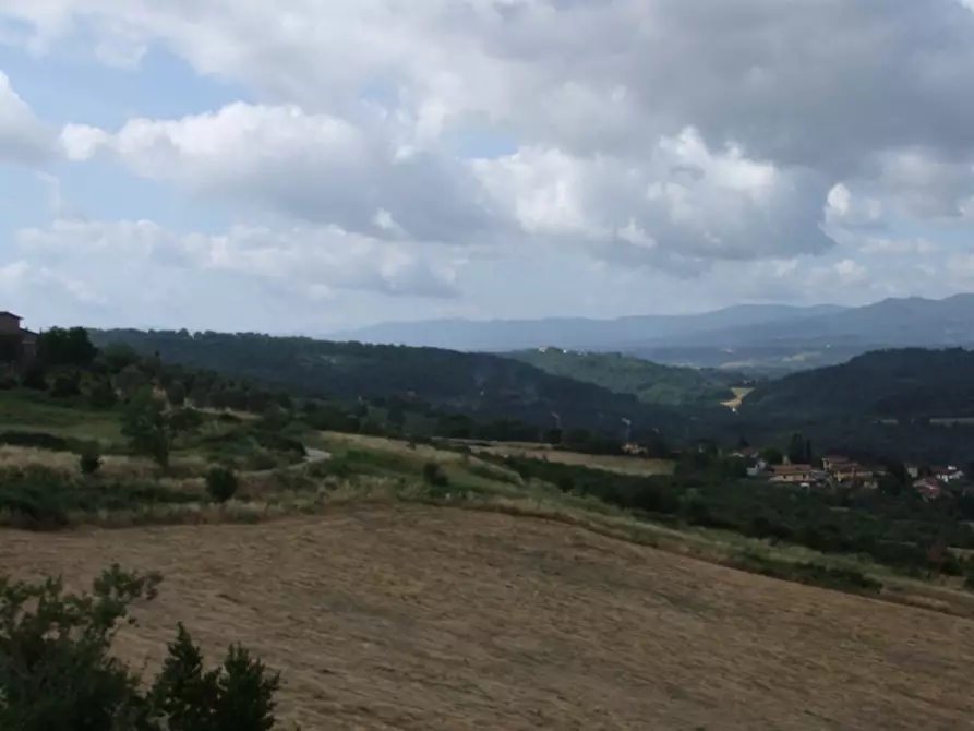 Immagine 5 di Terratetto in vendita  a Pontassieve