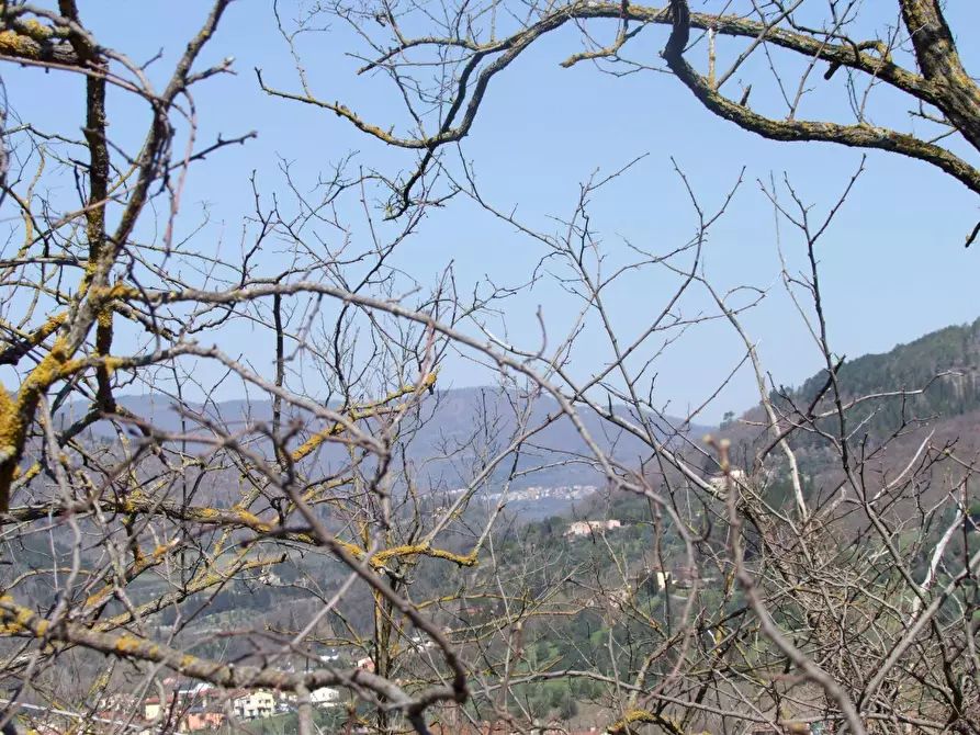 Immagine 32 di Casa colonica in vendita  a Bagno A Ripoli