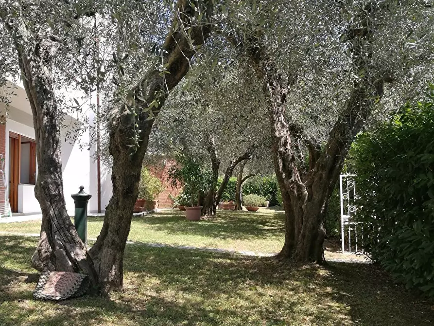 Immagine 3 di Appartamento in affitto  a Calci