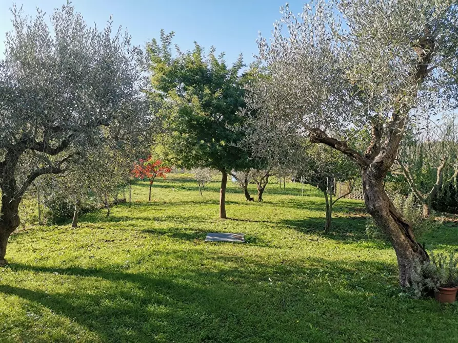 Immagine 2 di Appartamento in affitto  a Calci