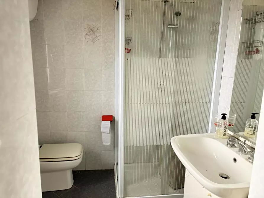 Immagine 10 di Appartamento in vendita  a Santa Luce