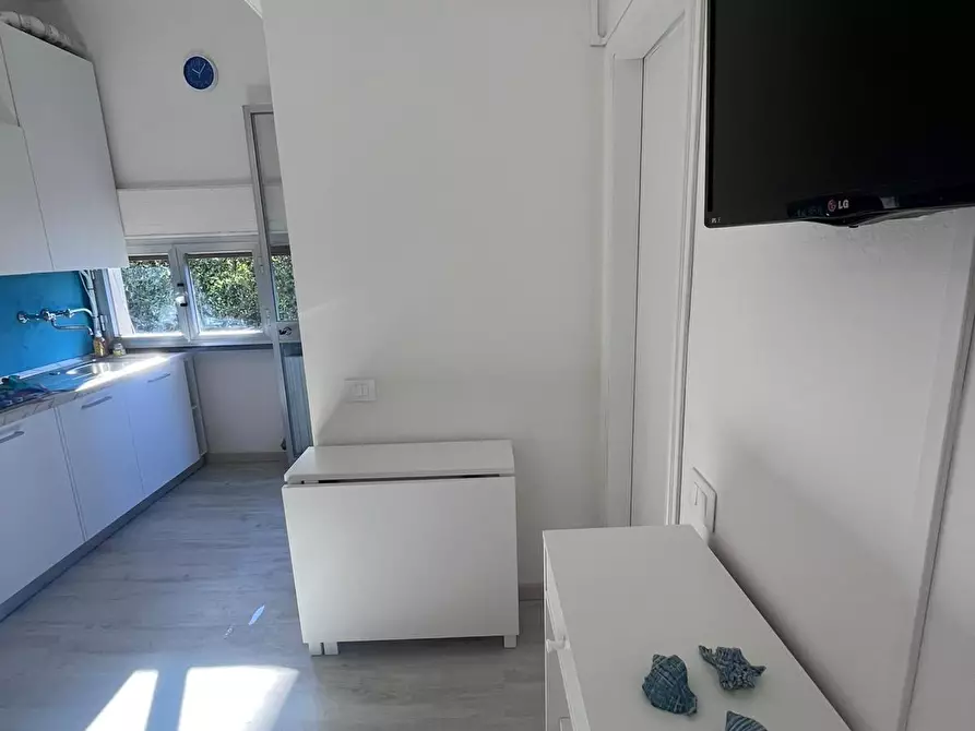 Immagine 29 di Appartamento in affitto  a Camaiore