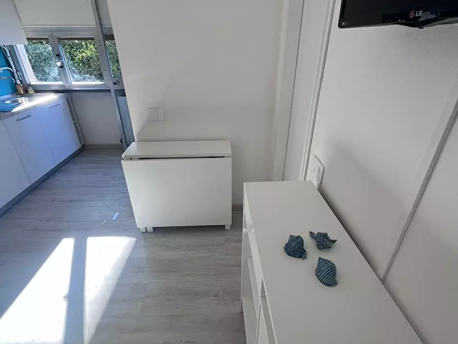 Immagine 27 di Appartamento in affitto  a Camaiore