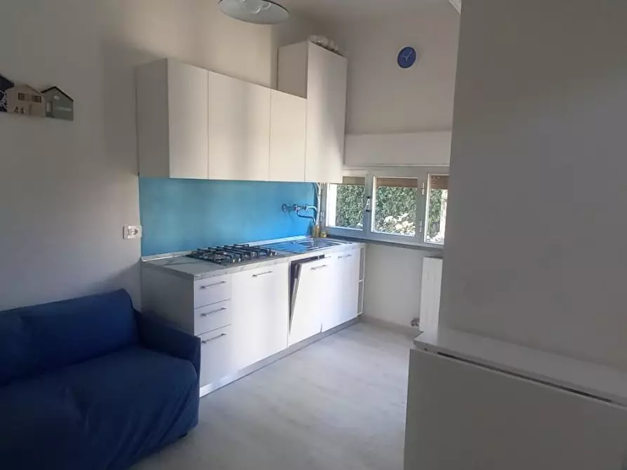 Immagine 3 di Appartamento in affitto  a Camaiore