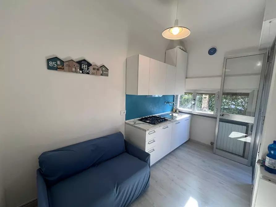 Immagine 1 di Appartamento in affitto  a Camaiore