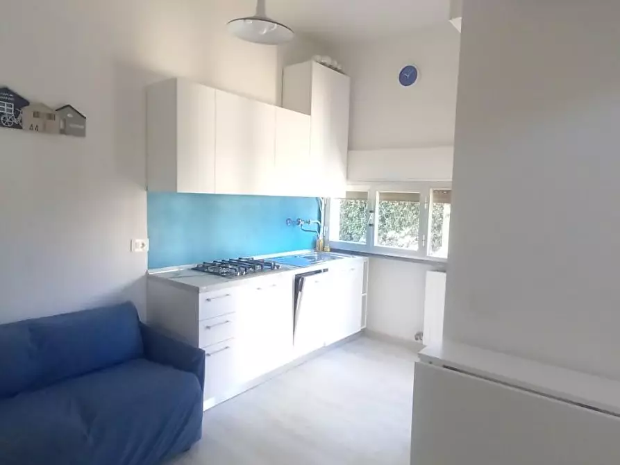 Immagine 2 di Appartamento in affitto  a Camaiore