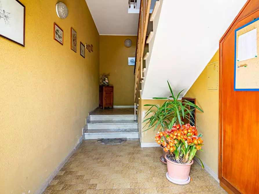 Immagine 18 di Appartamento in vendita  a San Giuliano Terme