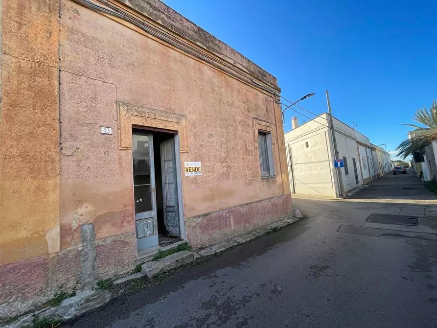 Immagine 19 di Terratetto in vendita  a Alessano