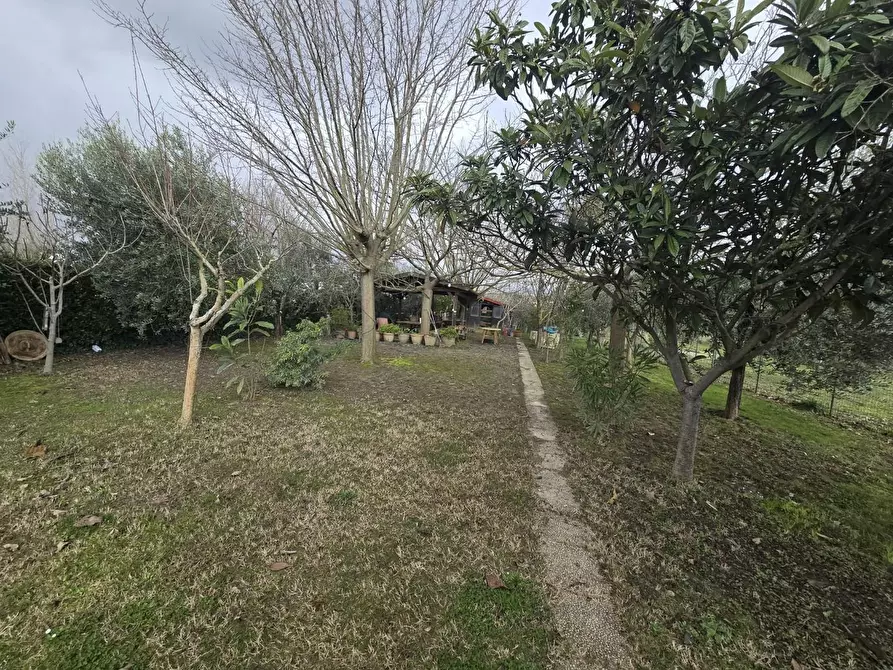 Immagine 5 di Terreno agricolo in vendita  a Calcinaia