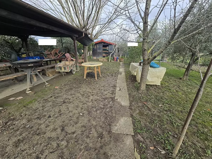 Immagine 1 di Terreno agricolo in vendita  a Calcinaia