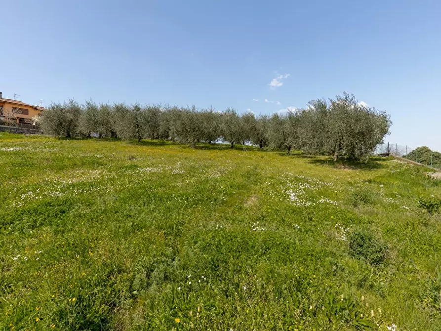 Immagine 26 di Casa indipendente in vendita  a Capannoli