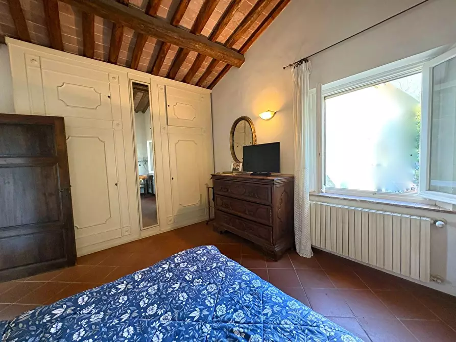 Immagine 12 di Casa colonica in vendita  a Crespina Lorenzana