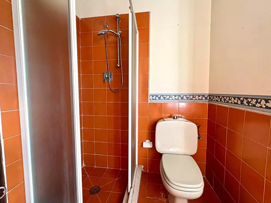 Immagine 24 di Casa colonica in vendita  a Crespina Lorenzana