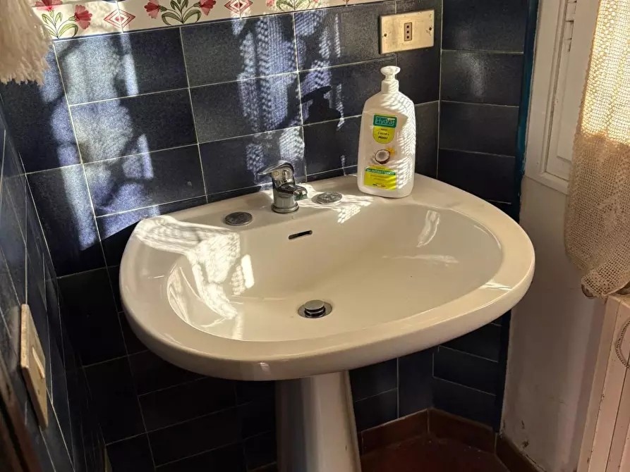 Immagine 18 di Casa colonica in vendita  a Crespina Lorenzana