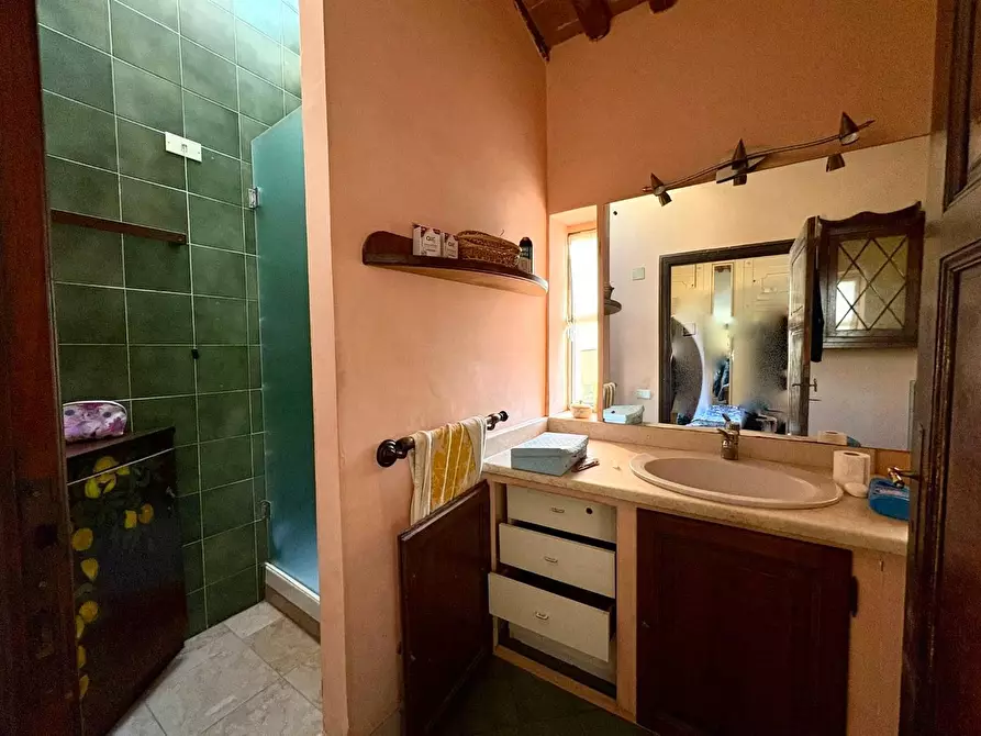 Immagine 15 di Casa colonica in vendita  a Crespina Lorenzana