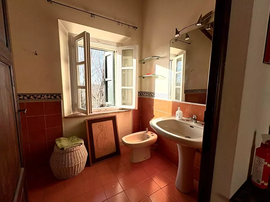 Immagine 28 di Casa colonica in vendita  a Crespina Lorenzana