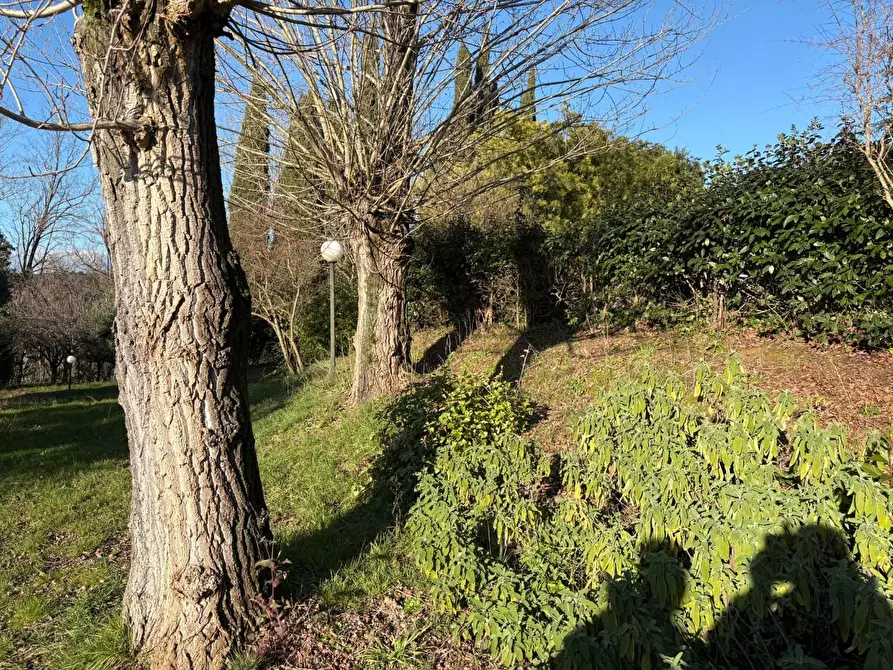 Immagine 22 di Casa colonica in vendita  a Crespina Lorenzana