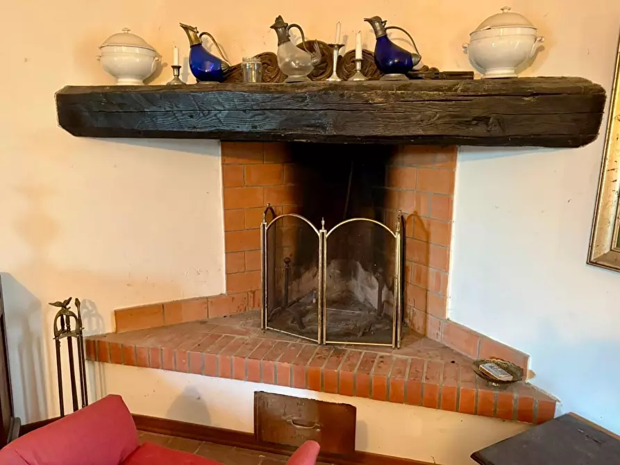 Immagine 7 di Casa colonica in vendita  a Crespina Lorenzana