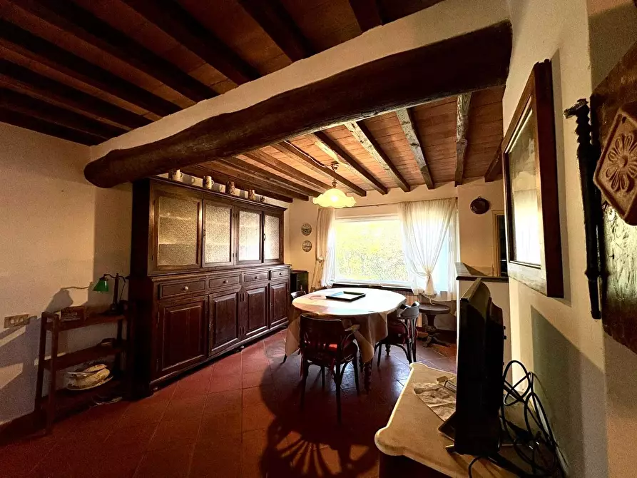 Immagine 23 di Casa colonica in vendita  a Crespina Lorenzana