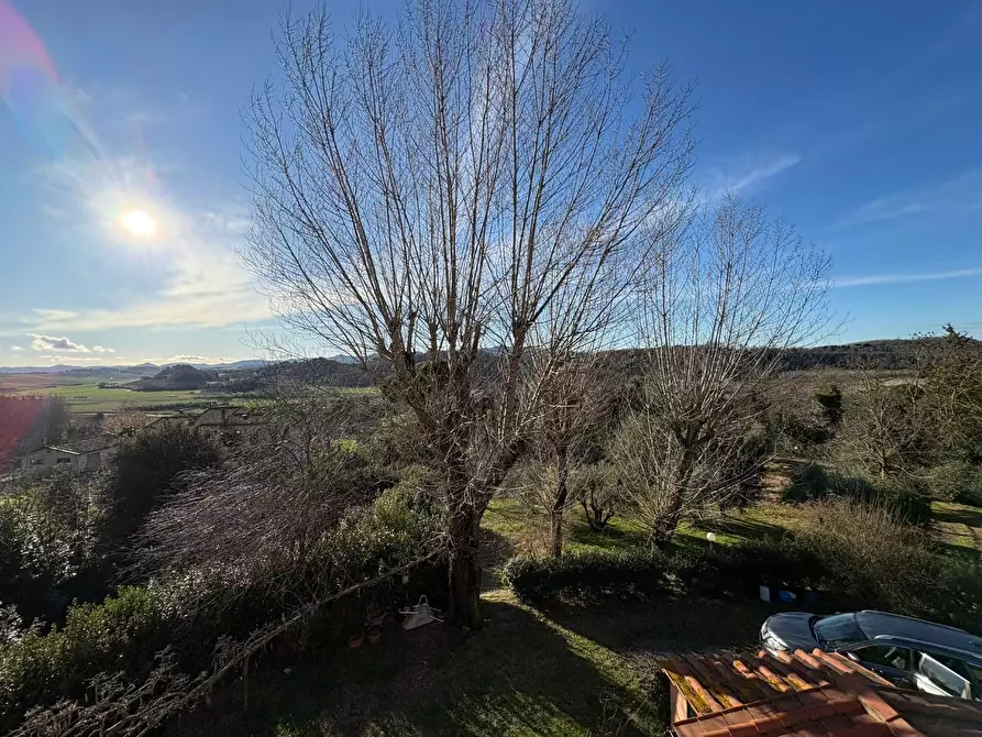 Immagine 20 di Casa colonica in vendita  a Crespina Lorenzana