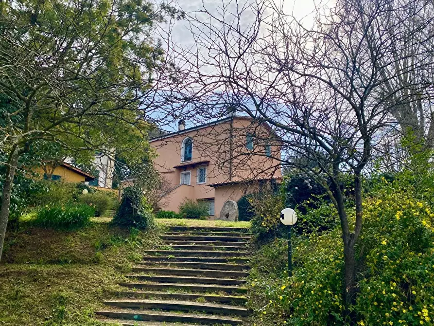 Immagine 29 di Casa colonica in vendita  a Crespina Lorenzana