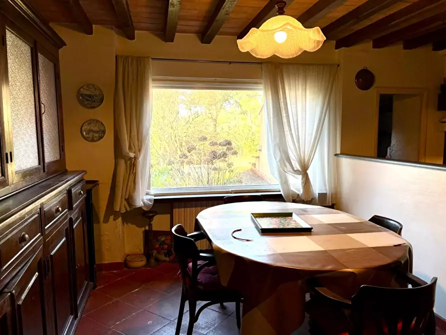 Immagine 6 di Casa colonica in vendita  a Crespina Lorenzana