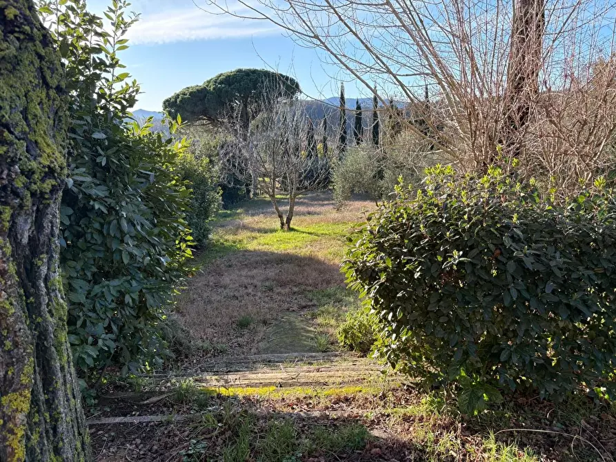 Immagine 2 di Casa colonica in vendita  a Crespina Lorenzana