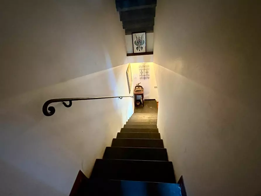 Immagine 17 di Casa colonica in vendita  a Crespina Lorenzana