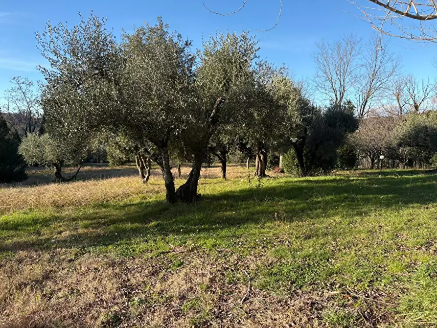 Immagine 11 di Casa colonica in vendita  a Crespina Lorenzana