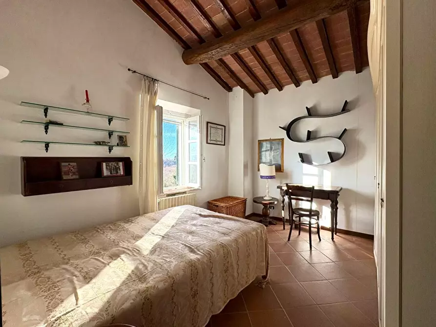 Immagine 4 di Casa colonica in vendita  a Crespina Lorenzana