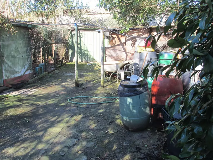 Immagine 4 di Terreno agricolo in vendita  a Cascina