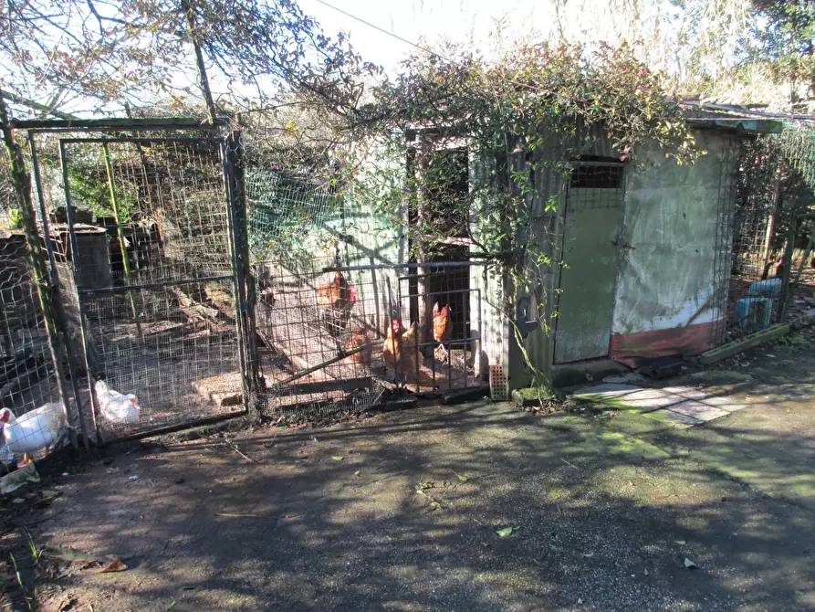 Immagine 3 di Terreno agricolo in vendita  a Cascina