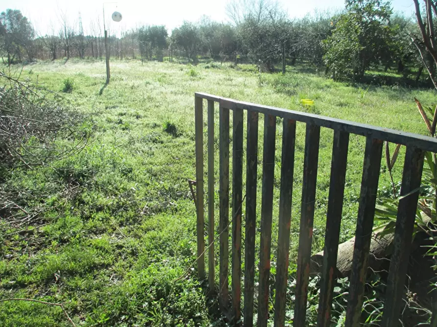Immagine 7 di Terreno agricolo in vendita  a Cascina