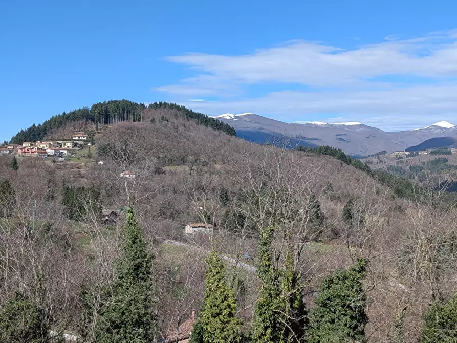 Immagine 28 di Appartamento in vendita  a Camporgiano