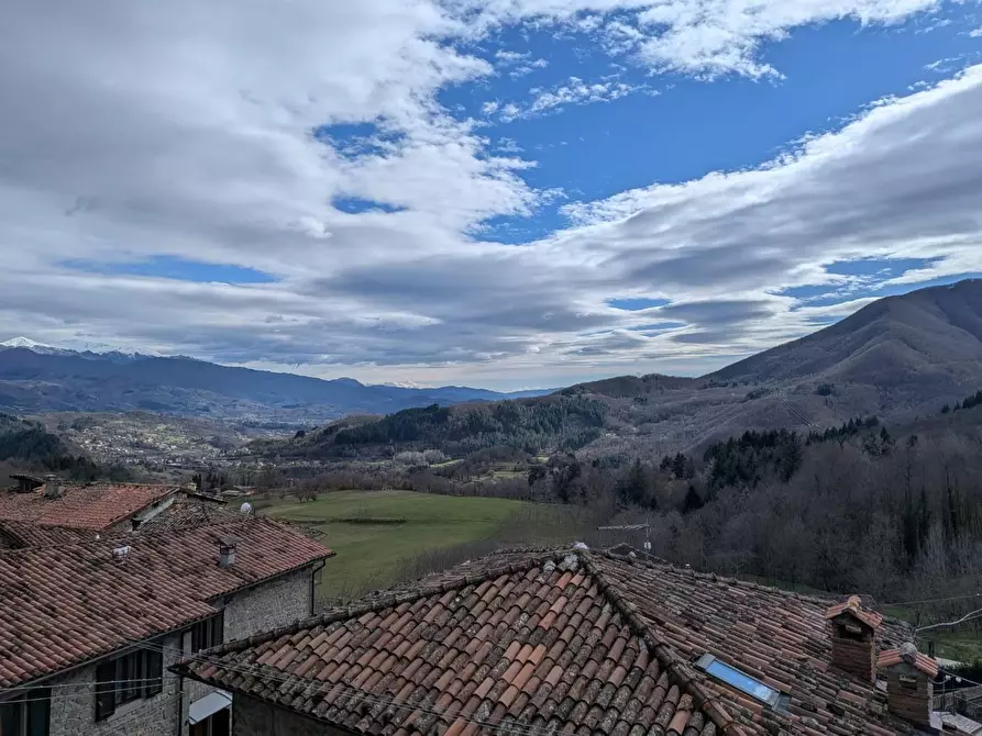 Immagine 32 di Appartamento in vendita  a Camporgiano